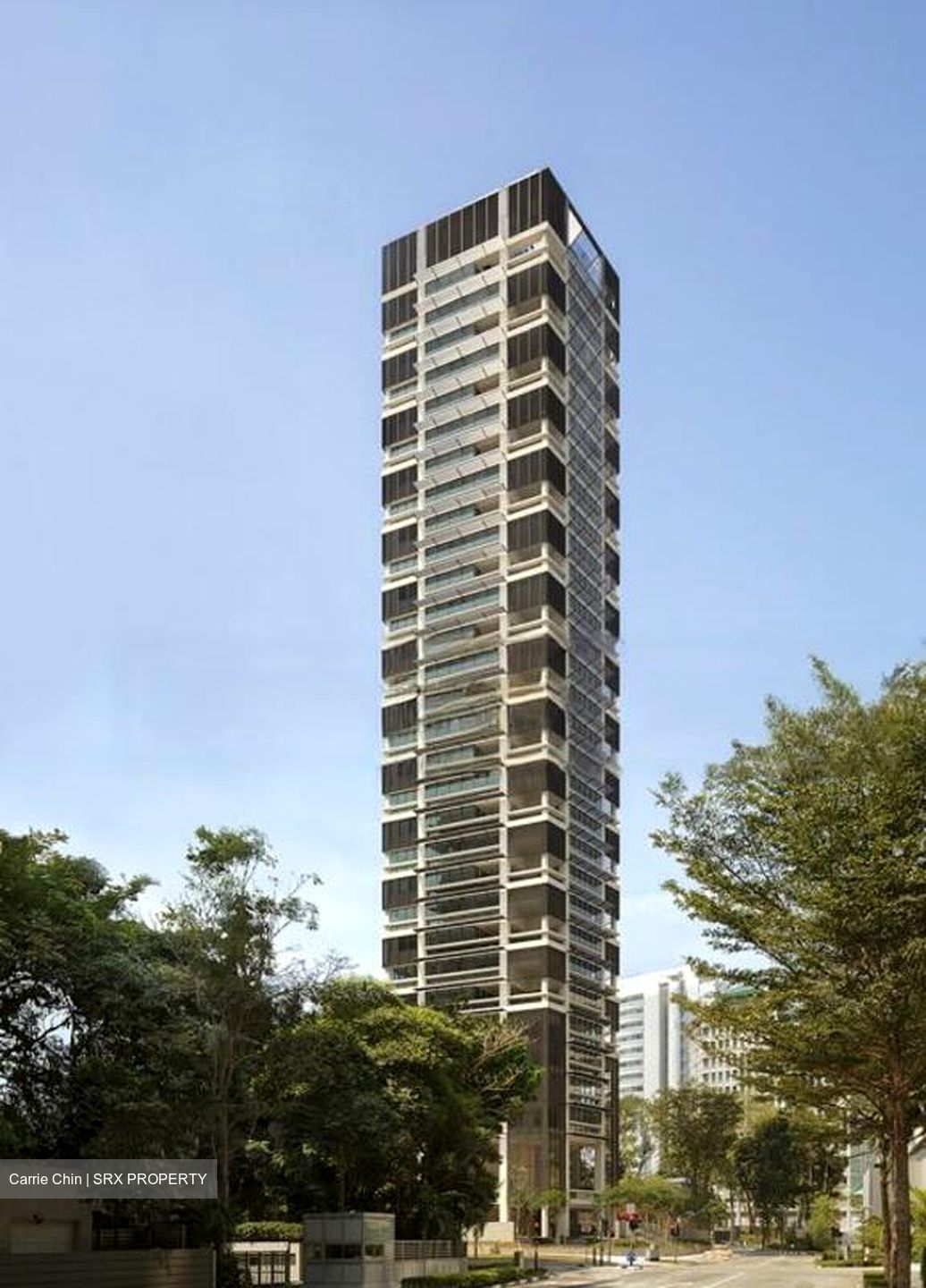 Hana (D10), Condominium #483035901